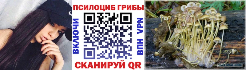 как найти закладки  Черкесск  Псилоцибиновые грибы мухоморы 